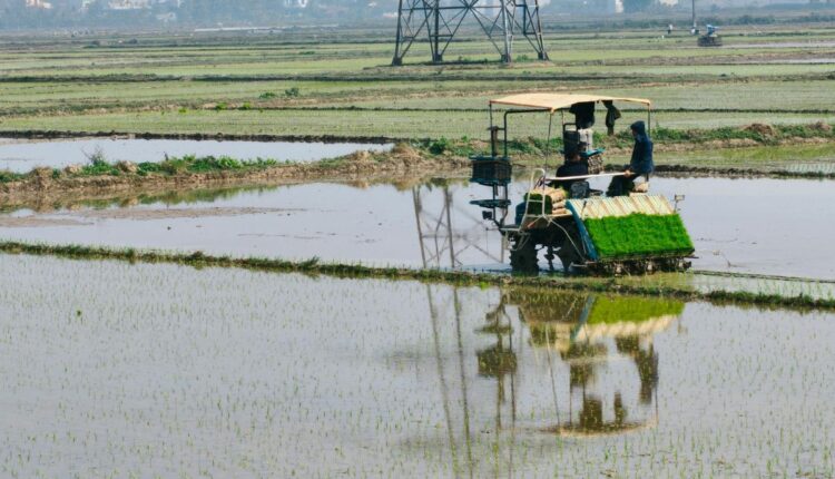 Mini Rice Transplanters Are Helping Small Farmers Cut Labour Costs in Chhattisgarh