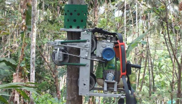 Portable Arecanut Climbing Machines Are Solving Labour Shortages in Karnataka