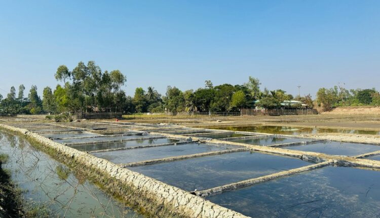 Assam’s Traditional Rice-Fish Farming System Is Making a Comeback