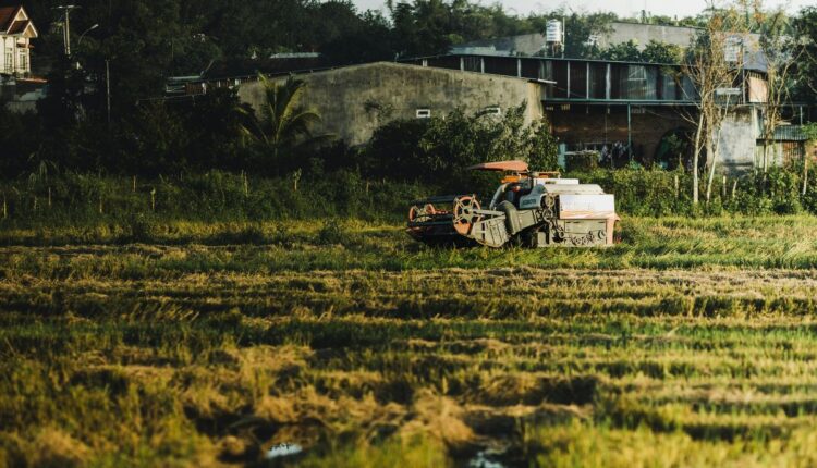 Kuttanad’s Below-Sea-Level Farming System Continues to Defy Geography