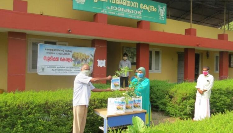 Kerala’s Subhiksha Keralam Programme Continues to Influence Local Food Production