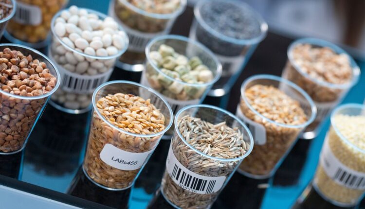 AI Soil Testing Labs Are Bringing Precision Farming to Maharashtra’s Villages