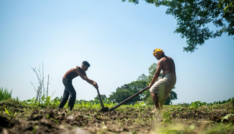 Nagaland’s Zabo Farming System Shows How Indigenous Communities Conserved Water for Centuries