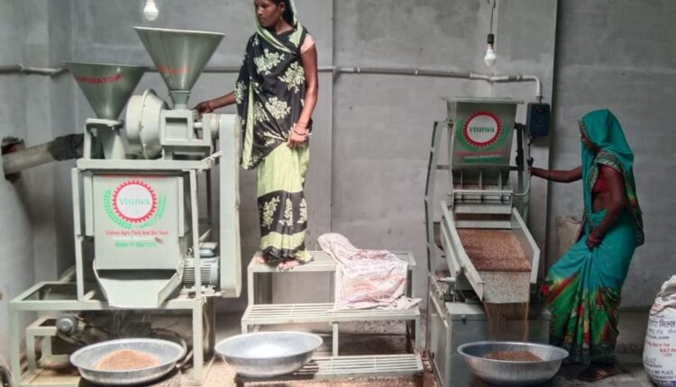 Mini Millet Processing Units Are Helping Small Farmers Add Value in Karnataka