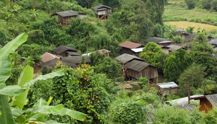 Why Natural Farming Villages Are Expanding Across India