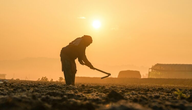 Farmer Built a Profitable Farm Tool Rental Business Without Owning Large Farmland