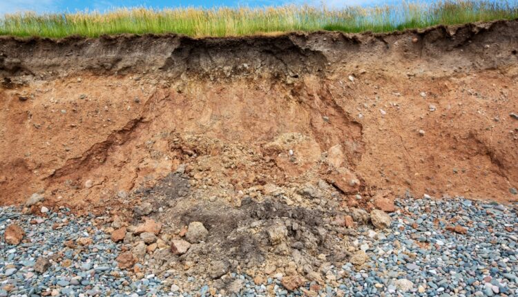Soil Salinity Sensors Are Helping Farmers Reclaim Problem Lands