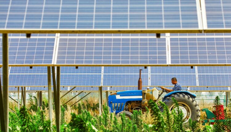 Portable Solar Crop Dryers Are Reducing Post-Harvest Losses for Small Farmers