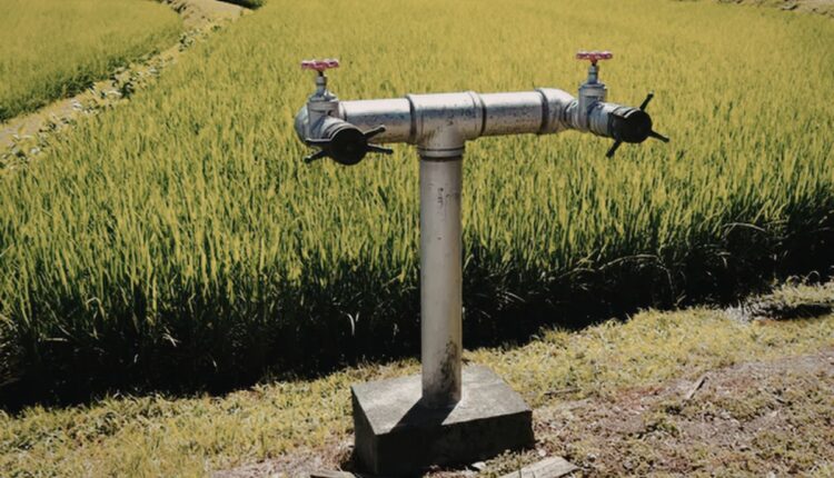 AI-Powered Irrigation Valves Are Saving Water on Indian Farms