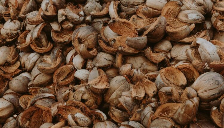 Coconut Shells