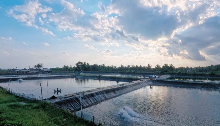 Rajasthan Expands Community Farm Ponds to Strengthen Water Security