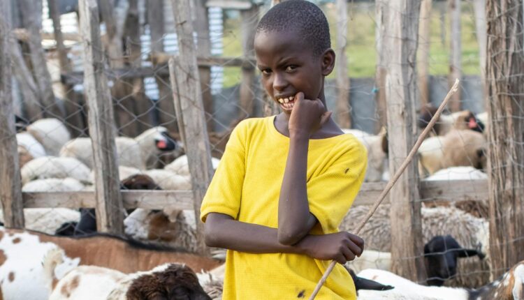 Kenya Launches New Digital Livestock Identification Programme