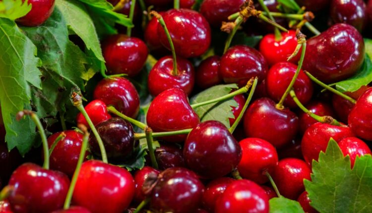 Cherry