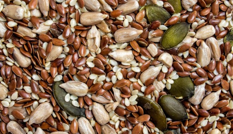 Bhutan’s Community Seed Exchange Programme Is Strengthening Farm Resilience