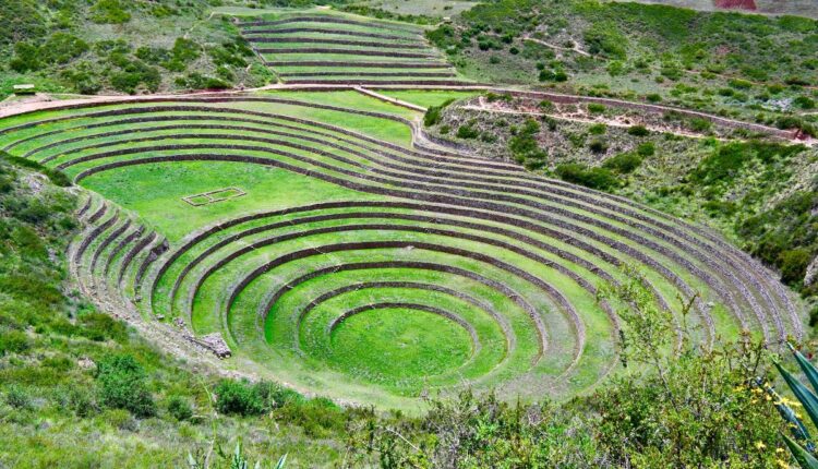 Peru’s Ancient Waru Waru Farms Are Returning to Fight Climate Risks