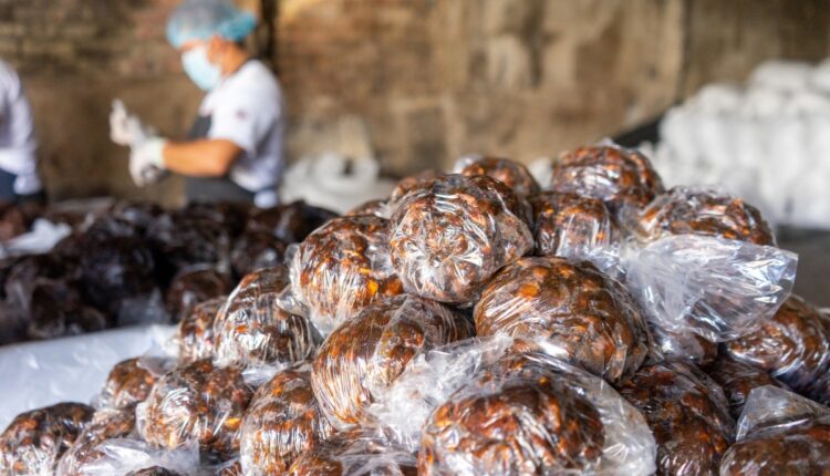 Tamarind Processing Units Are Creating Year-Round Income for Tribal Farmers