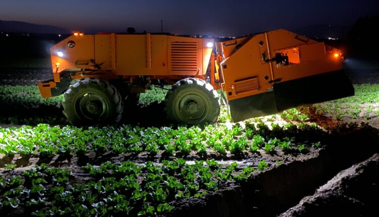 Robotic Weeders Are Helping Farmers Reduce Labour Dependence in Vegetable Farming