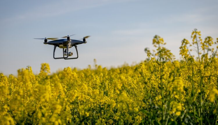 Agriculture Minister Calls for Higher Pulses and Oilseed Yields to Cut Imports