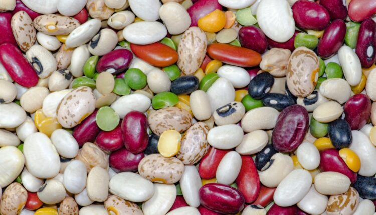Shriram Farm Solutions Partners ICAR to Develop Better Vegetable Seeds