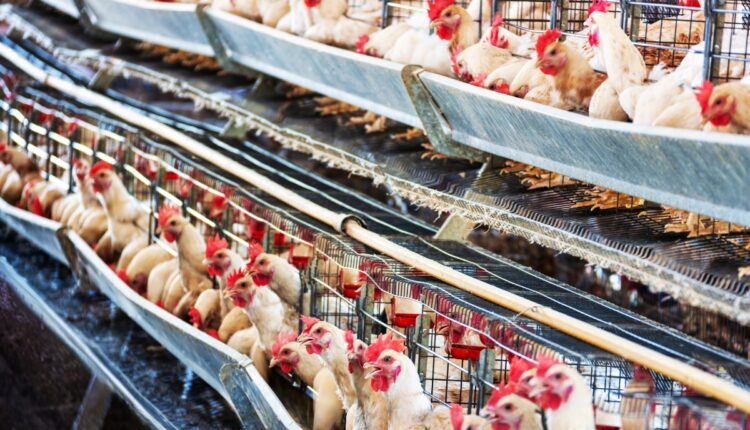 Battery-Powered Farm Machines Open a New Rental Business for Rural Entrepreneurs