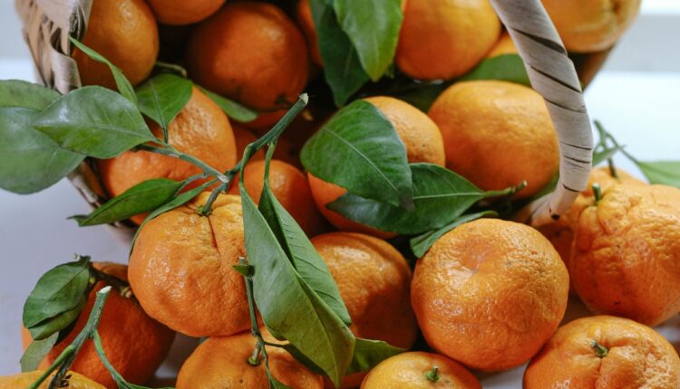 Sirsa Kinnow Receives GI Tag, Boosting Haryana's Citrus Growers