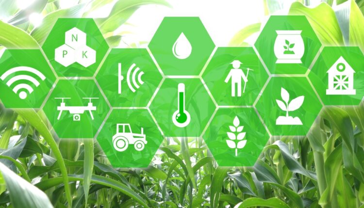 Edge AI Devices Are Bringing Real-Time Intelligence Directly to Farms