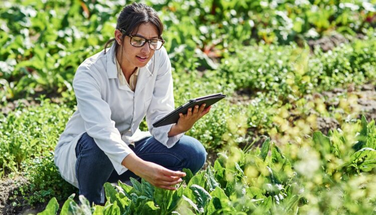 Digital Twin Technology Is Helping Scientists Build Virtual Farms for Better Decisions