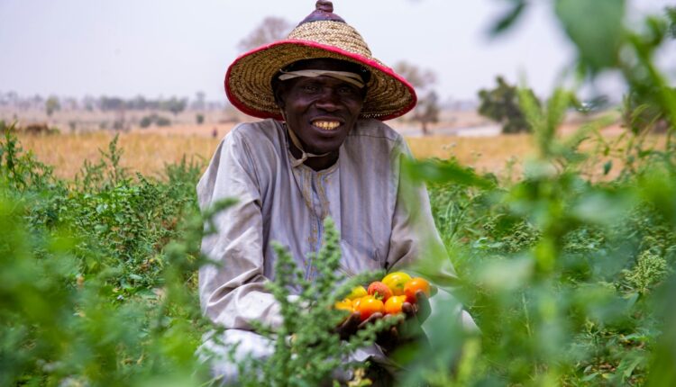 Africa Agriculture Science Week Opens to Boost Food Security and Innovation