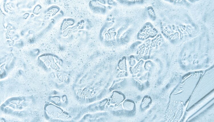 Indigenous Microbial Consortia Are Emerging as the Next Generation of Biofertilisers
