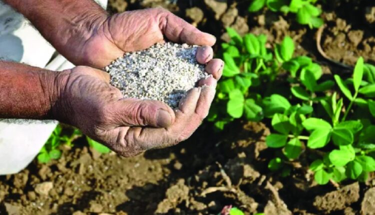 Punjab University Develops Natural Bio-Input to Cut Chemical Fertiliser Use