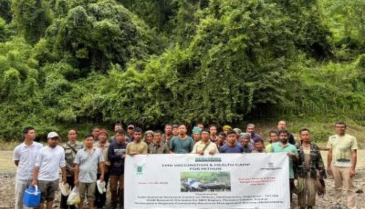 Manipur Farmers Learn Scientific Mithun Breeding and Health Care