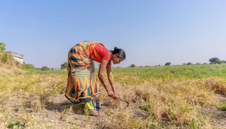 Farmers Learn How to Control Congress Grass in Nagpur