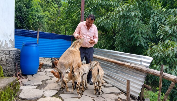 How a Uttarakhand Farmer Turned a Small Farm Into a ₹3.6 Lakh Enterprise