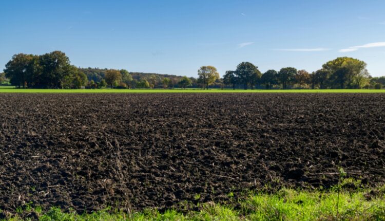 Farmers Get Paid for Soil Carbon: How the New Carbon Market Works