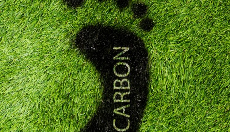 Farmers Get Paid for Soil Carbon: How the New Carbon Market Works